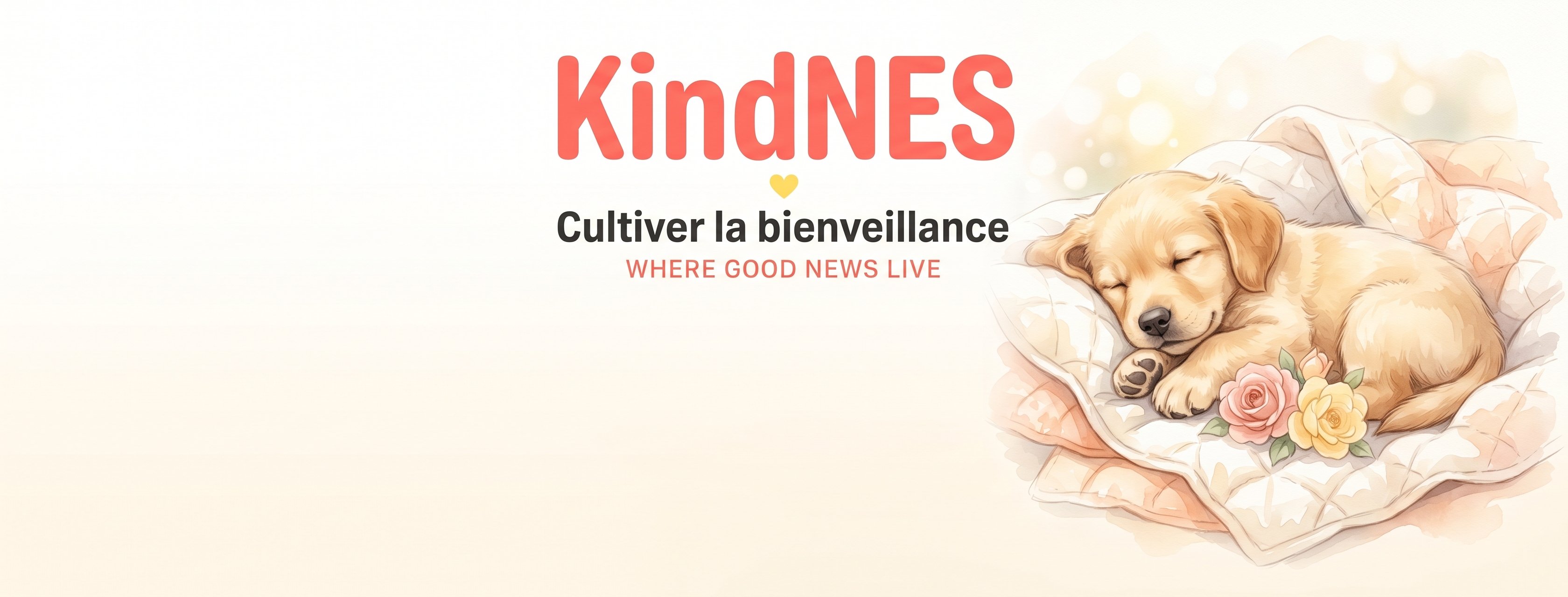 KindNES — Cultiver la bienveillance