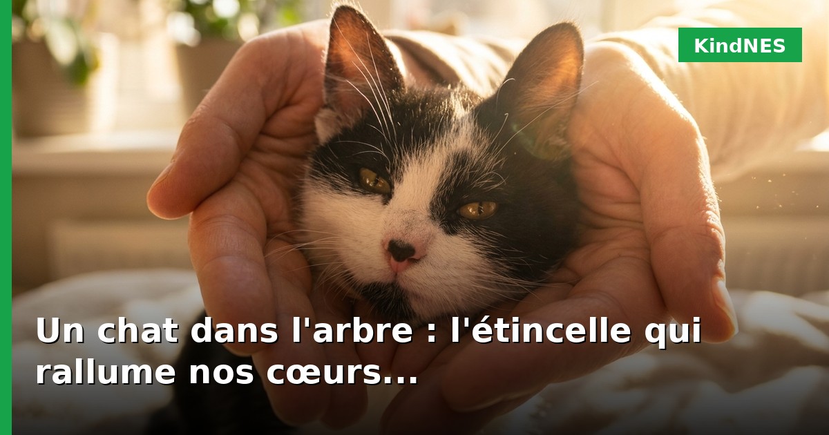 Un chat dans l'arbre : l'étincelle qui rallume nos cœurs