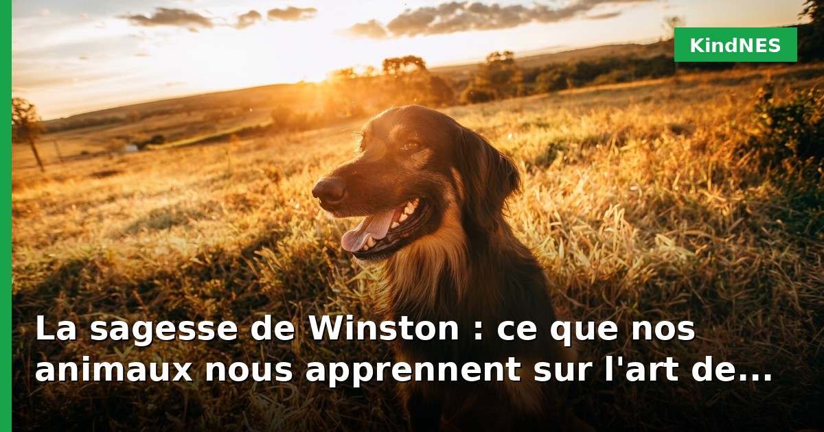 La sagesse de Winston : ce que nos animaux nous apprennent sur l'art de lâcher prise