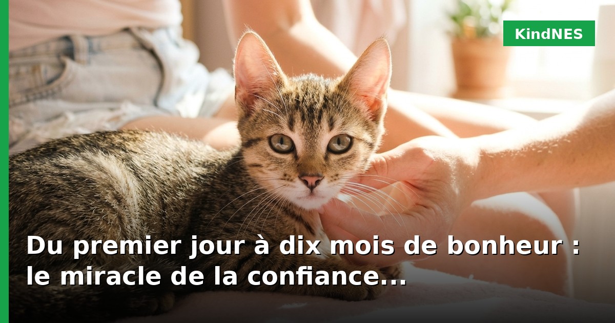 Du premier jour à dix mois de bonheur : le miracle de la confiance